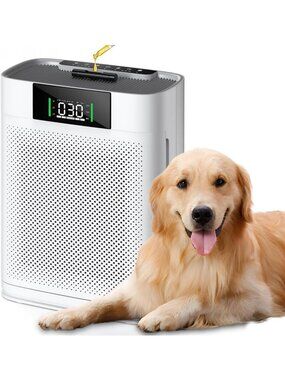 Large Room Air Purifier for Home, Covers 2400 Sq Ft, HEPA Filter, Quiet